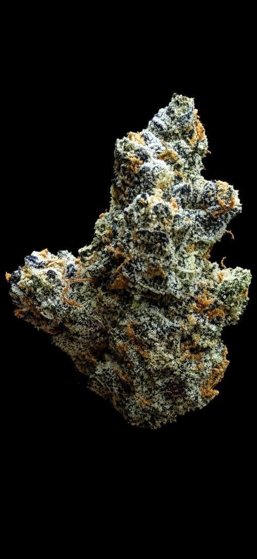New Money Compound Genetics Flo/IWH. Week 18