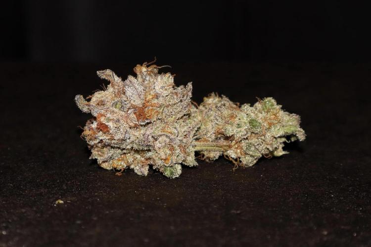 BubbleGum, RainbowSherbert, SkunkBreath. Week 17