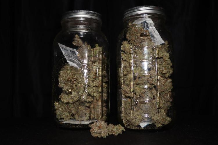 BubbleGum, RainbowSherbert, SkunkBreath. Week 17