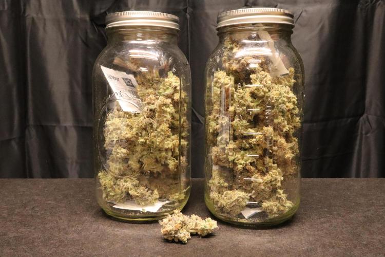 BubbleGum, RainbowSherbert, SkunkBreath. Week 17