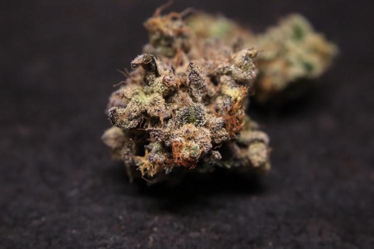 BubbleGum, RainbowSherbert, SkunkBreath. Week 17