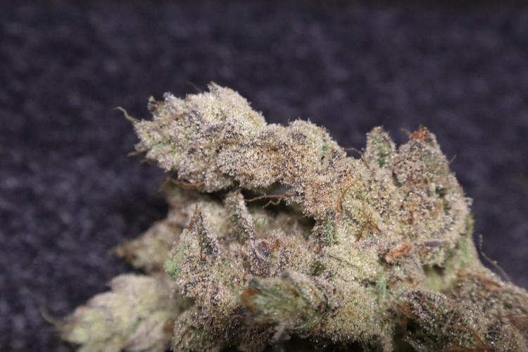 BubbleGum, RainbowSherbert, SkunkBreath. Week 18