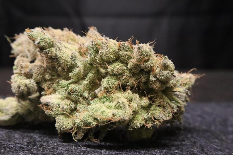 BubbleGum, RainbowSherbert, SkunkBreath. Week 18