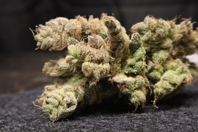 BubbleGum, RainbowSherbert, SkunkBreath. Week 18