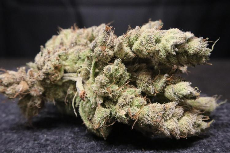 BubbleGum, RainbowSherbert, SkunkBreath. Week 18