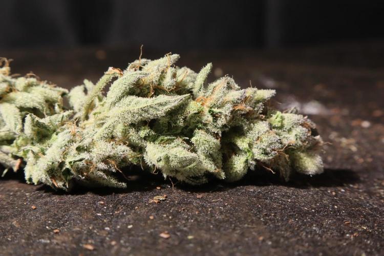Black Diamond Automatic. Week 20