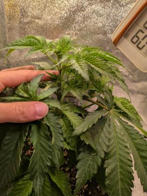 Comment by Commander_Keen photo #1