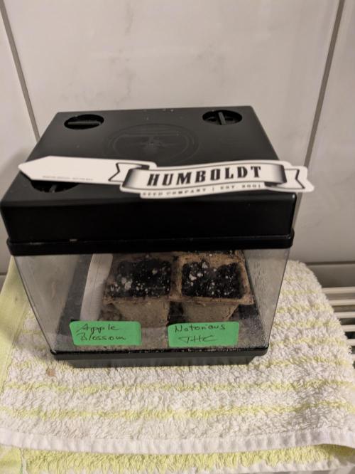 A Humboldt Run. Week 0