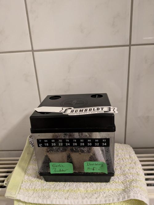 A Humboldt Run. Week 0