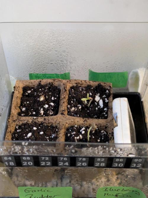 A Humboldt Run. Week 0