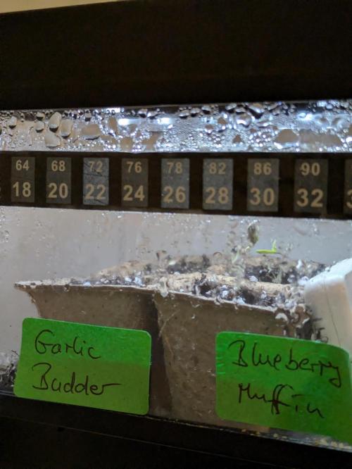 A Humboldt Run. Week 0