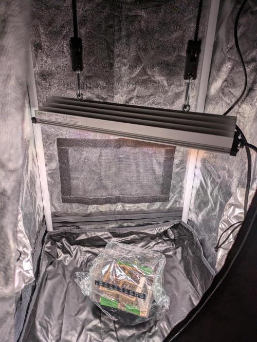 A Humboldt Run. Week 0