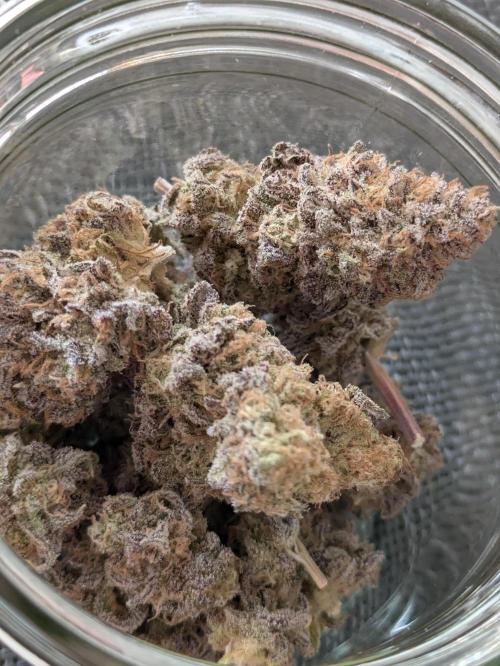 Primetime Grow. Week 15