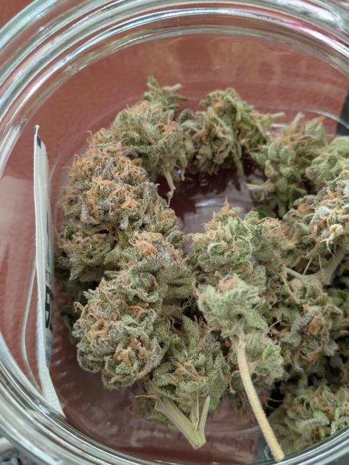 Primetime Grow. Week 15