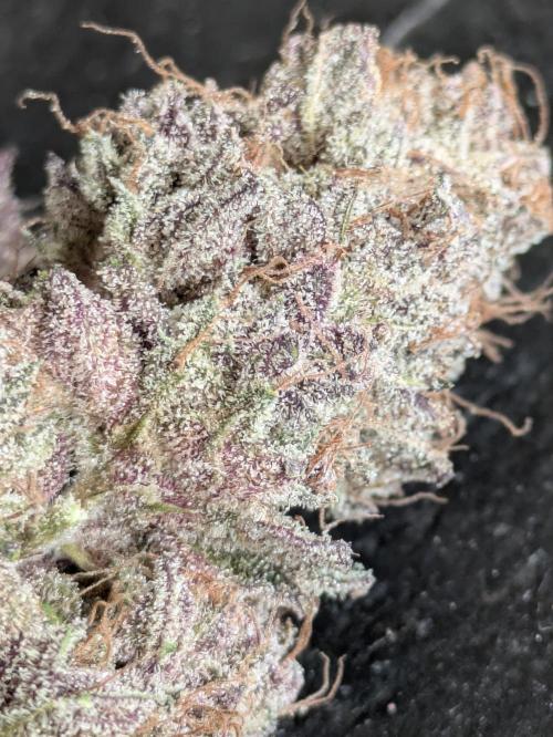 A Humboldt Run. Week 14