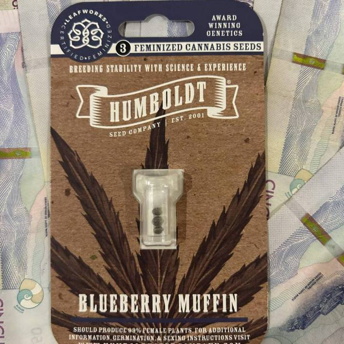 Blueberry Muffins. Week 0