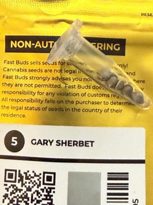 Gary Sherbet ✨. Week 0