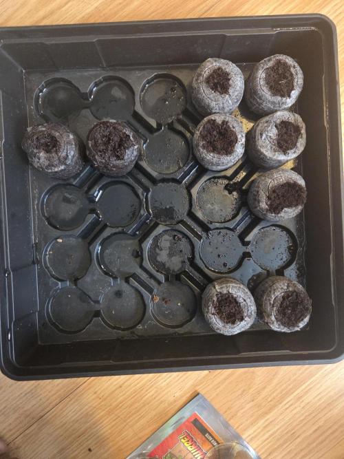 Grow #1. Week 0 - 7/14