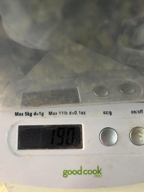 Seedstockers Bruce Banner Auto. Week 11 - 190g outcome