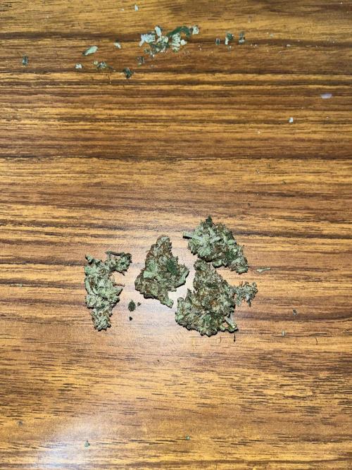 Crème-tasmo Mephisto Genetics. Week 11 - Buds broken down before dry