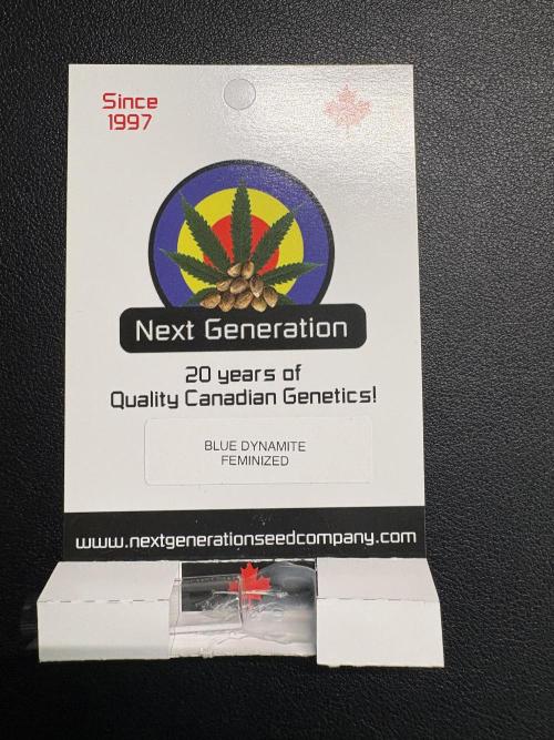 Blue Dynamite - Summer 2026. Week 0 - Blue Dynamite - Next Generation Seeds