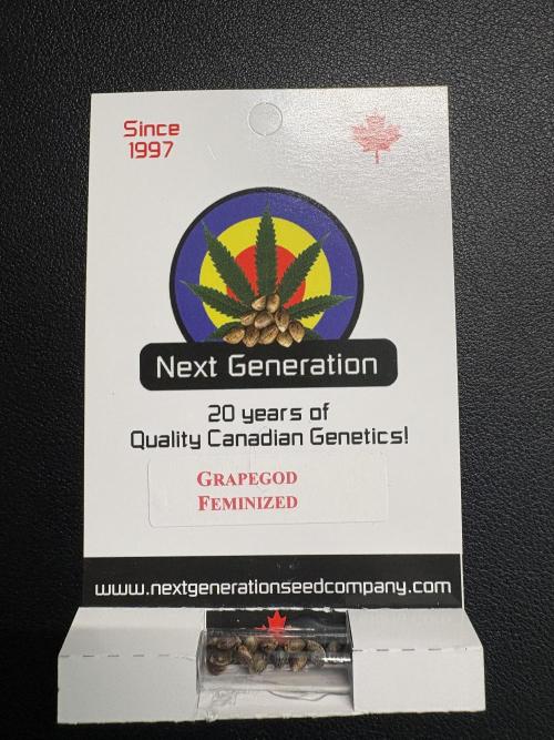 GrapeGod - Summer 2026. Week 0 - GrapeGod - Next Generation Seeds