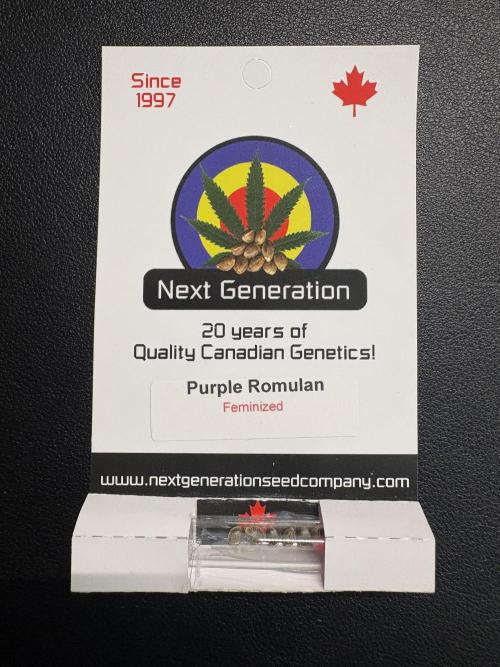 Purple Romulan - Summer 2026. Week 0 - Purple Romulan - Next Generation Seeds