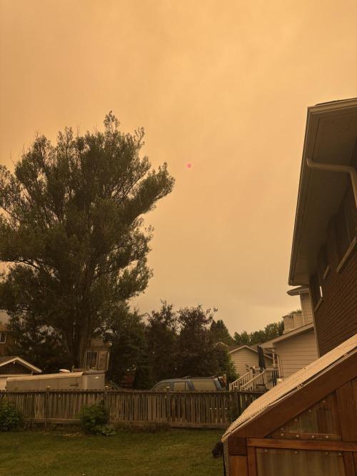 Blue Dynamite - Summer 2026. Week 12 - Forest Fire Smoke Covered Sky - Day 80