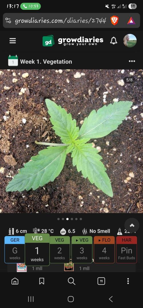 FB42 - Z-up x 4. Week 2