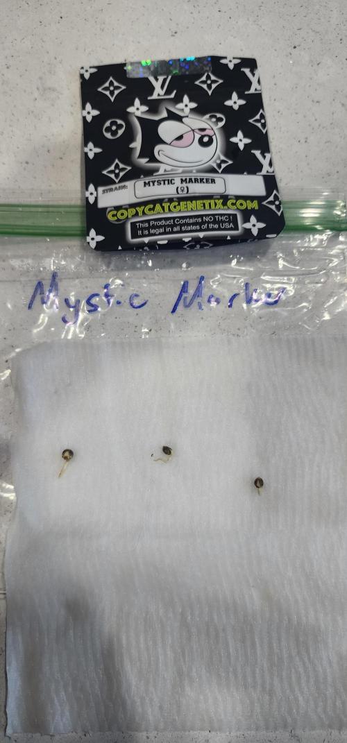 5x5 45gal RDWC - Marker Crosses. Week 0 - Mystic Marker tails