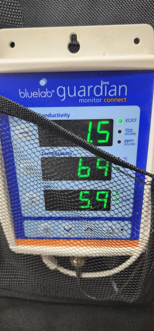 5x5 45gal RDWC - Marker Crosses. Week 1 - Took a bit of ph down and RunClean.