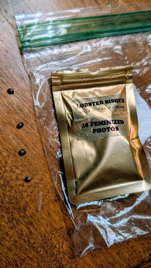 Autopot Discord Grow Along. Week 0