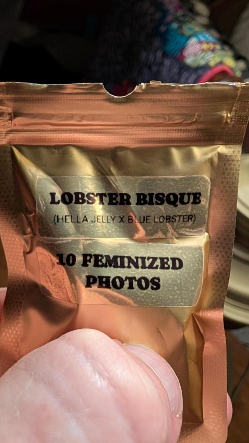 Autopot Discord Grow Along. Week 0