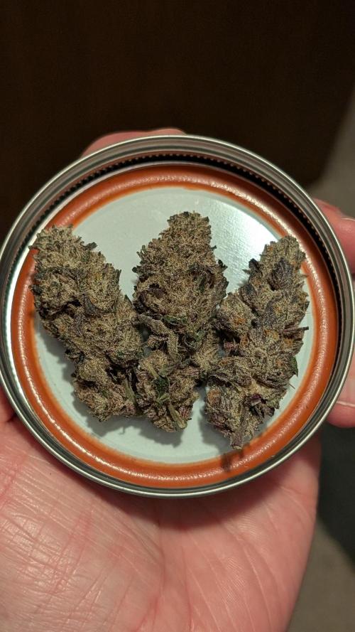 OC Runtz & OG Kush. Week 17