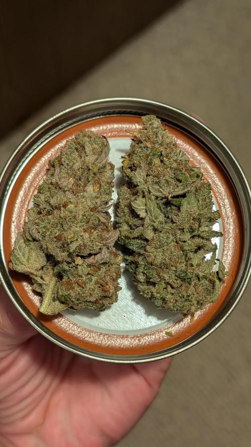 Tahoe OG Kush. Week 14