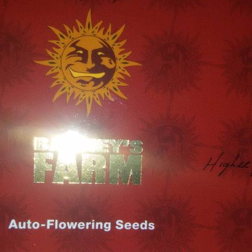 I love gelato. Week 1 - 20/5