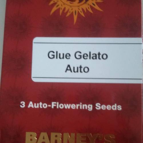 I love gelato. Week 1 - 20/5