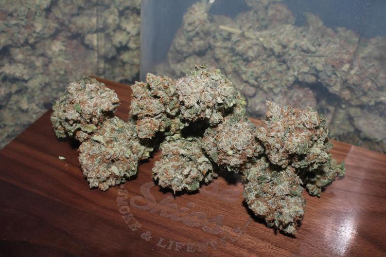 Frozen Black Cherry (Anesia Seeds). Week 16 - 10 days after harvest