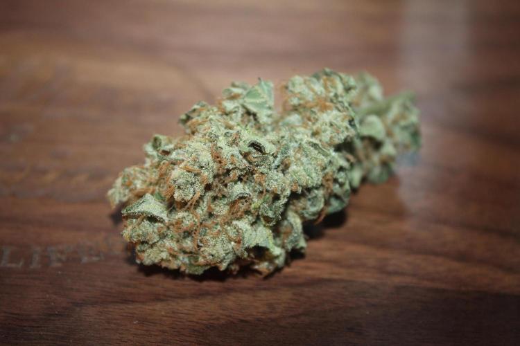 Frozen Black Cherry (Anesia Seeds). Week 16 - 10 days after harvest