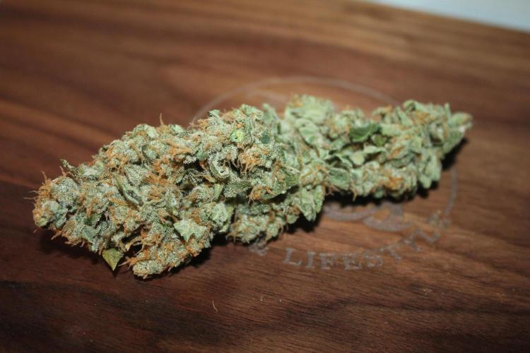 Frozen Black Cherry (Anesia Seeds). Week 16 - 10 days after harvest