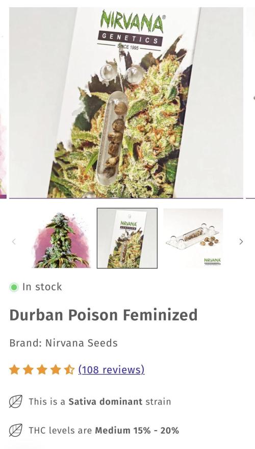 Durban Poison Fem. Week 0