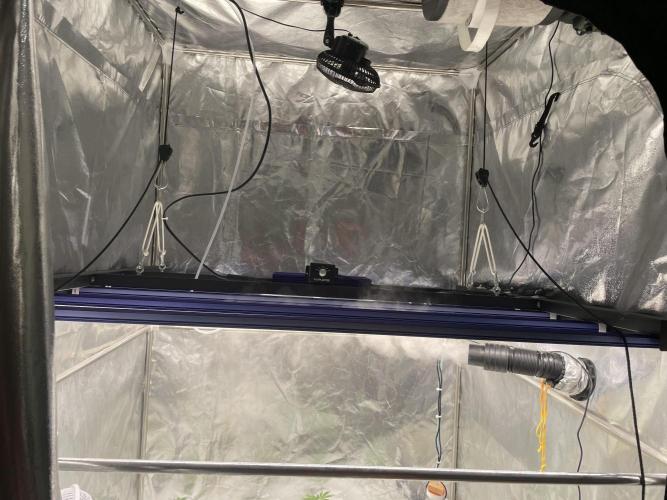 First NFT SoG. Week 2 - Pohled na druhou polovinu stanu. Výdech AC T7, pelotonu čidla, Zeus 2.9 pro. 