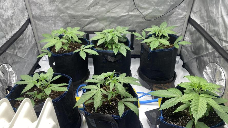 Hermi “experiments”. Week 0