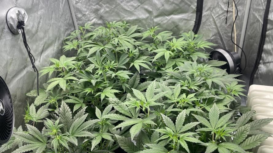 Hermi “experiments”. Week 3