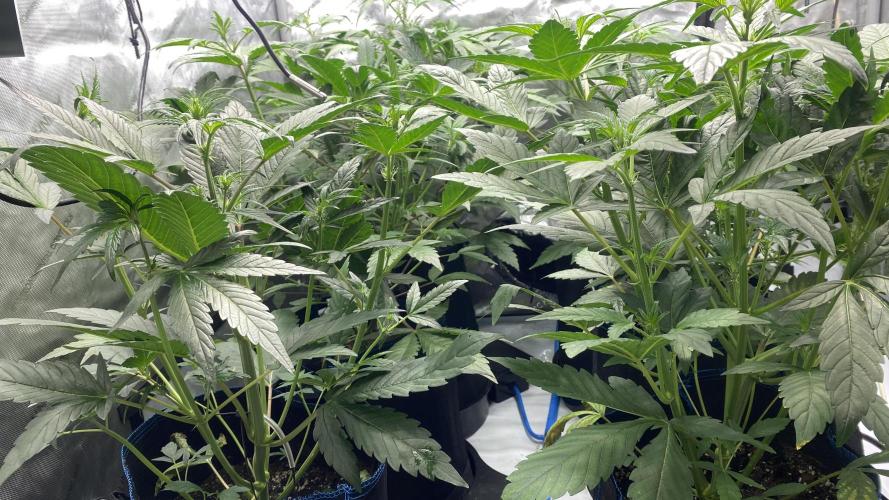 Hermi “experiments”. Week 3