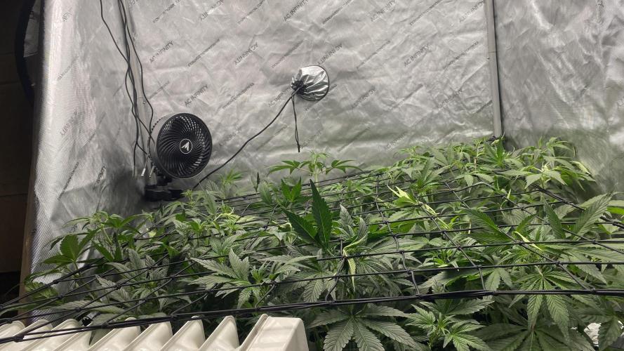 Hermi “experiments”. Week 3