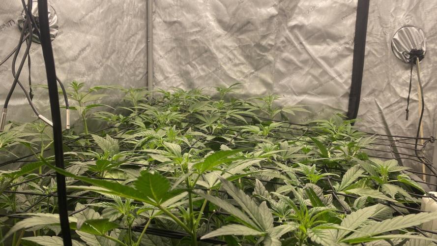 Hermi “experiments”. Week 4