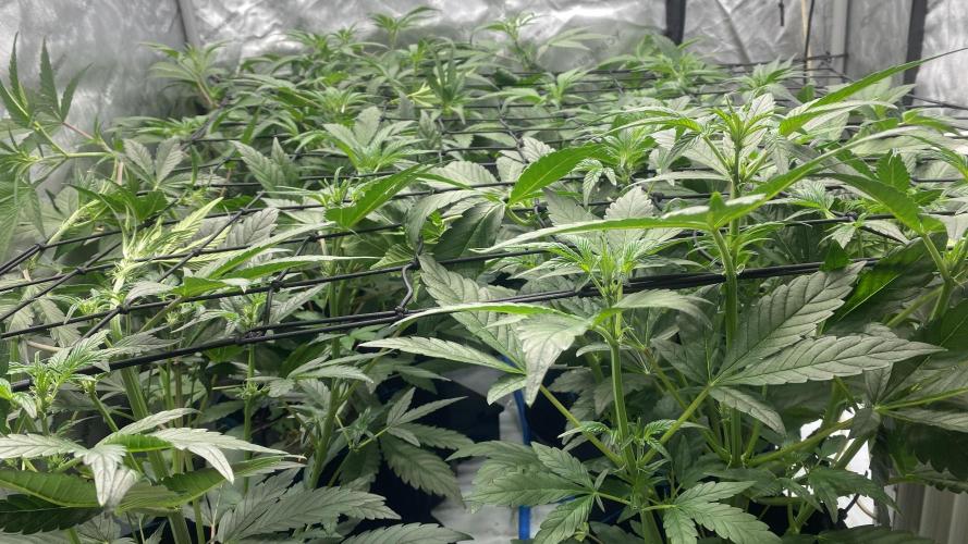 Hermi “experiments”. Week 4