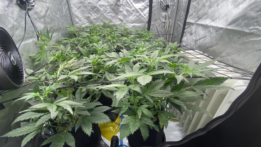 Hermi “experiments”. Week 4