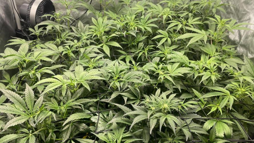 Hermi “experiments”. Week 5